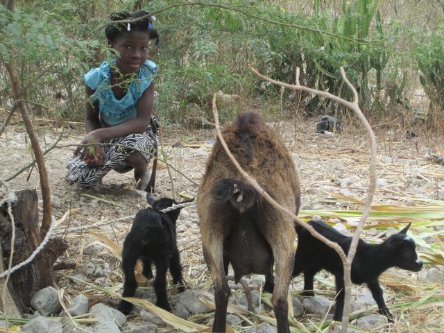 Photo 3 from World Wide Village Incorporated